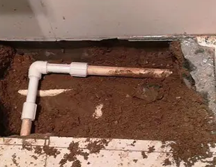 南票测漏水哪家好