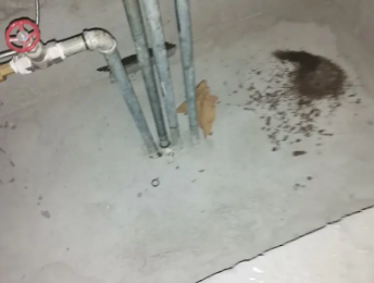 南票卫生间测漏水价格明细