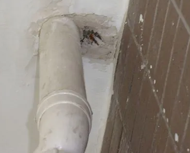 南票漏水检测哪家好